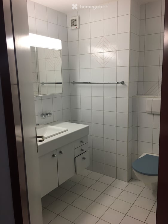 Bel appartement de 4 1/2 pièces avec grand jardin 5