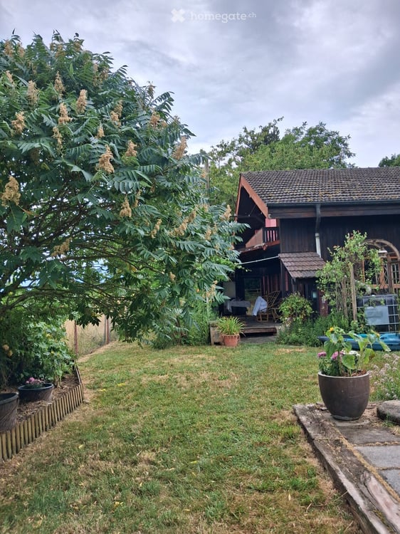 Chalet à louer dans les hauteurs de Boudry 2