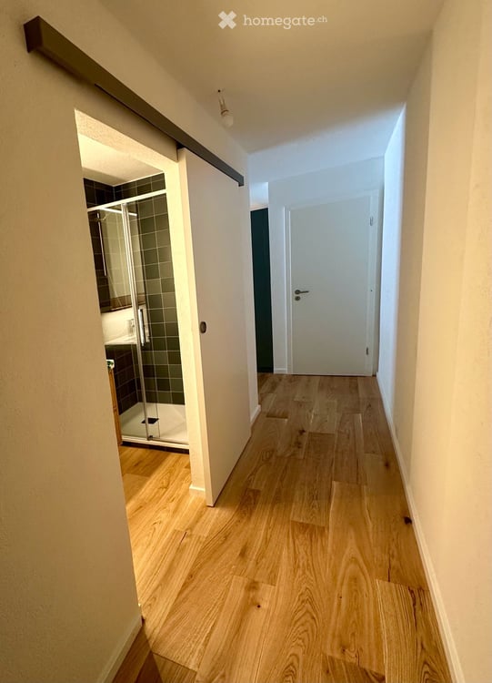 Anzère VS appartement à louer 3