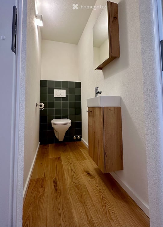 Anzère VS appartement à louer 4