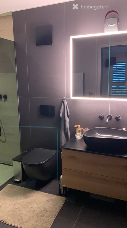 Appartement de 5.5 pièces à louer à Cudrefin 3