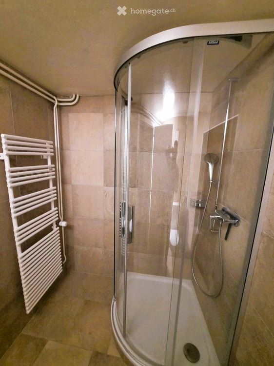Location appartement 3,5 p 3