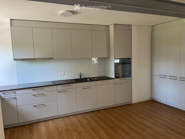 Appartement de 4,5 pièces_Quartier Vignettaz-Beaumont 2