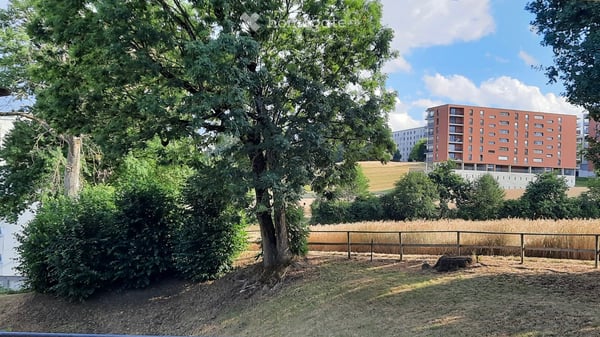 Appartement de 4,5 pièces_Quartier Vignettaz-Beaumont 1