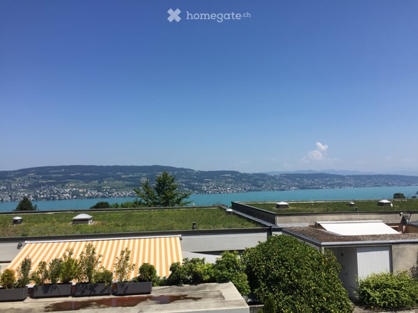 Seesicht - 6 1/2 Terrassen-Eckhaus in Horgen (ZH) 2