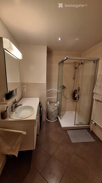 Location appartement 2,5pièces idéalement situé Plainpalais 3