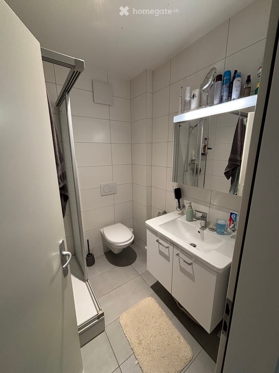 Appartement 2 pièces et demi 4