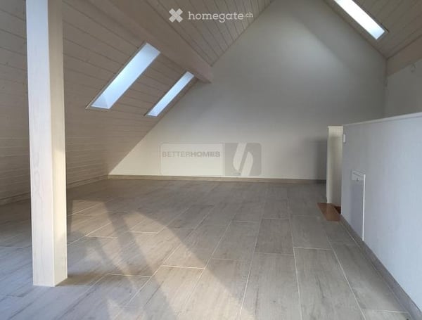 Magnifique duplex lumineux et spacieux 4