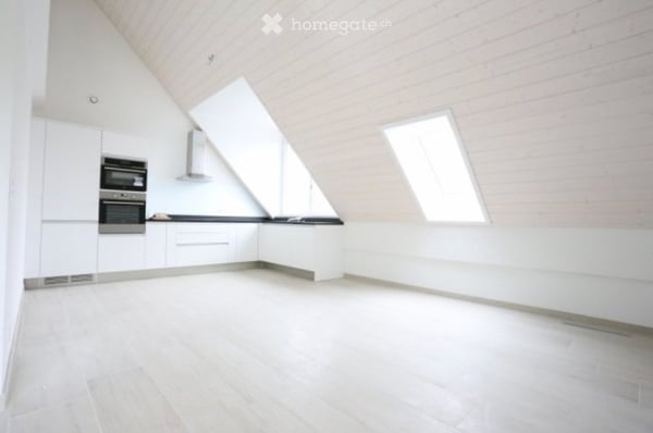Magnifique duplex lumineux et spacieux 3