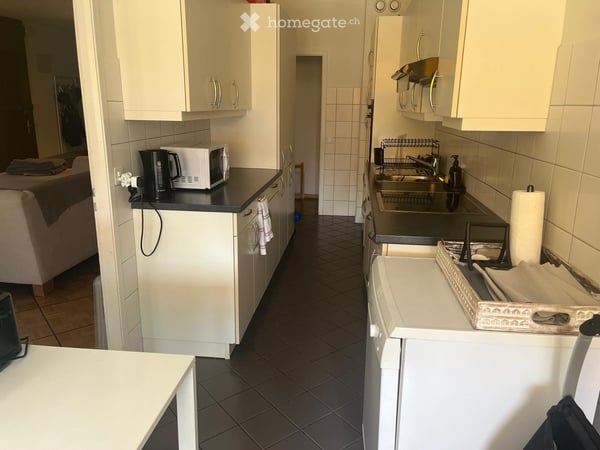 Bright 6-Room Apartment with Balcony, Petit-Saconnex Geneva 3