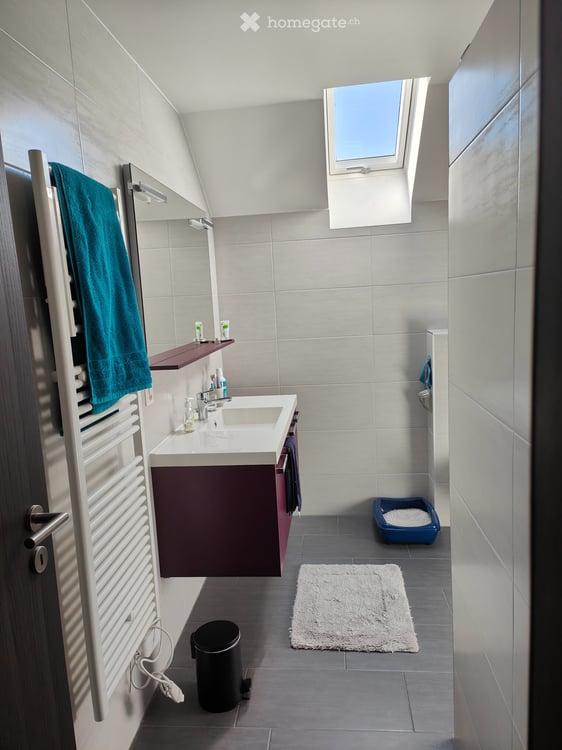 Appartement 5.5 pièces à louer à Prez-vers-Siviriez 10