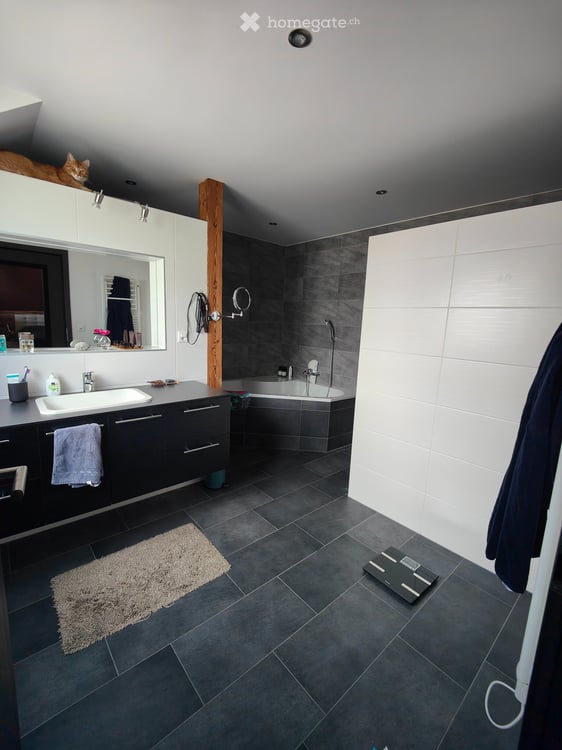 Appartement 5.5 pièces à louer à Prez-vers-Siviriez 7