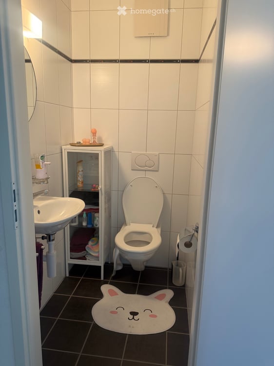 Appartement 4,5pcs avec mezzanine 5