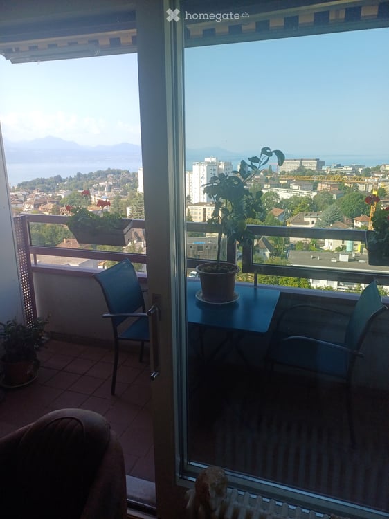 Chambre à louer dans beau 3,5 pièces 5