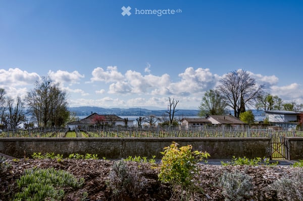 Appartement moderne meublé au Vully, vue sur le lac de Morat 4