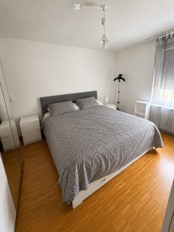 Attique 3 pièces  avec grande terrasse et vue sur le lac 4