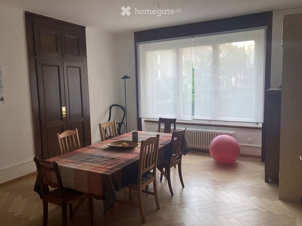Grand appartement lumineux Maillefer 2