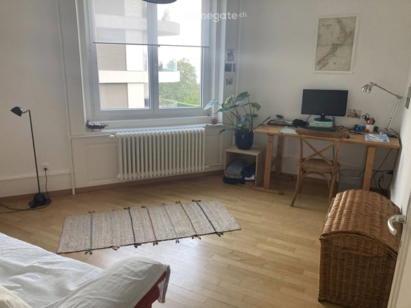 Grand appartement lumineux Maillefer 4