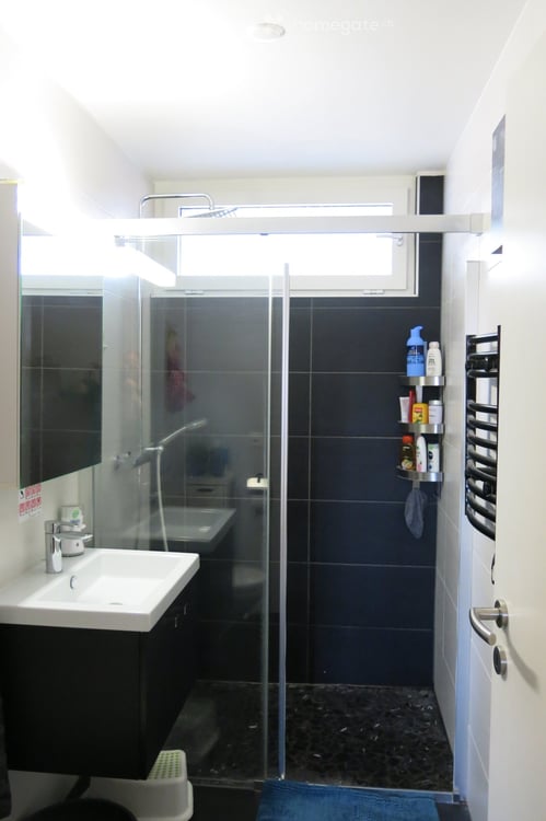 Magnifique appartement de 1.5 pièces en attique 5