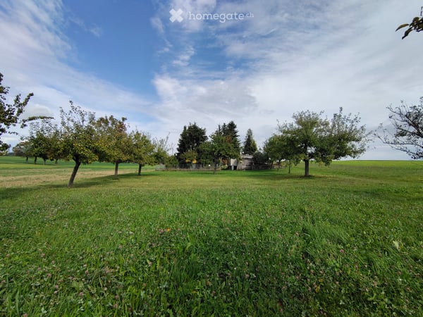 Magnifique appartement de 4,5 p. jardin et vue panoramique 5