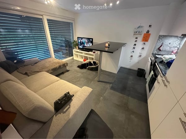 Magnifique 2.5 récent, rez-de-jardin avec grande terrasse 1
