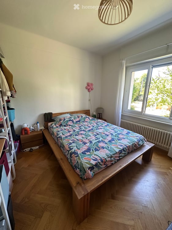 Appartement 1.5 pièces avec garage 3