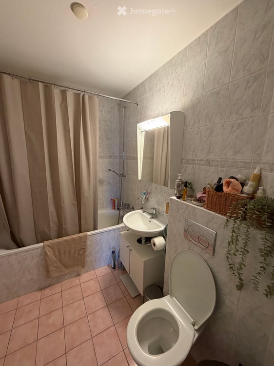 Reprise de bail - appartement 4.5 pièces Août/Septembre 5