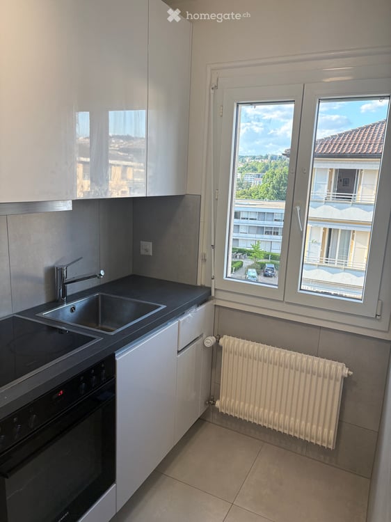 Magnifique appartement avec vue sur le lac 5