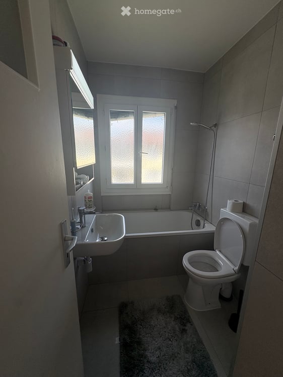 Magnifique appartement avec vue sur le lac 4