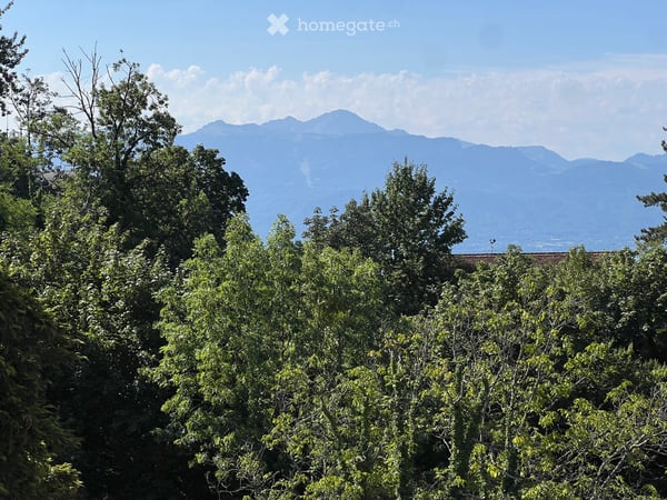 Appartement 3,5 pièces  Avenue du Léman 2