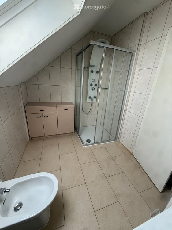 Appartement de 4,5 pièces + pavillon de jardin 3