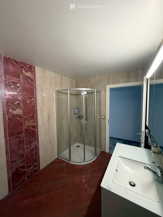 4,5 pièces meublé 105 m² - charges + box + place parc inclus 4