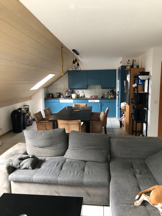 Superbe appartement spacieux et lumineux 4.5 pieces 2