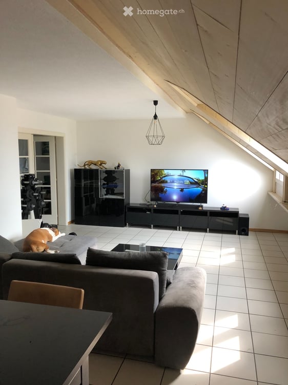 Superbe appartement spacieux et lumineux 4.5 pieces 4