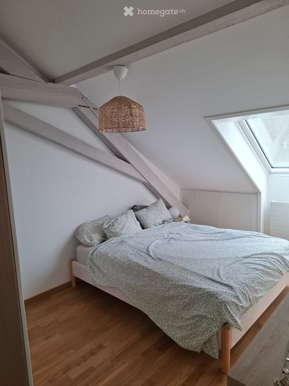 Extracentre - 2.5pcs - charmant et calme 3