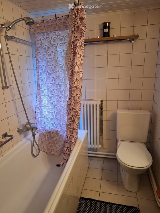 Cherche une collocataire (30-50ans) 3