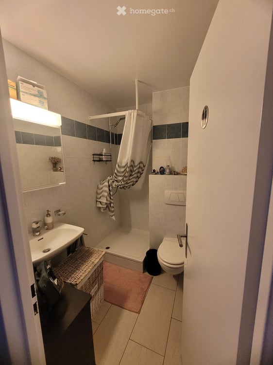 Appartement 3.5 centre Lausanne 4