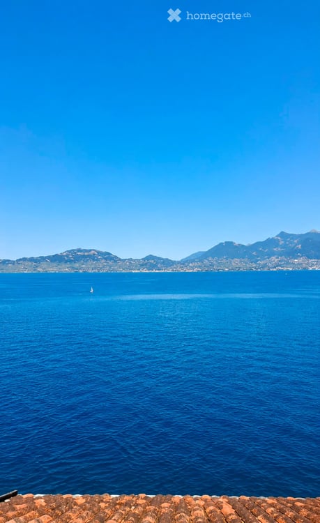 Attique avec accès direct au Lac Léman Rénové avec goût 5