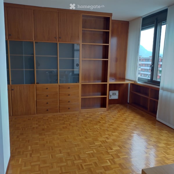 Lugano-Cassarate, affitto bilocale, arredato o no 4