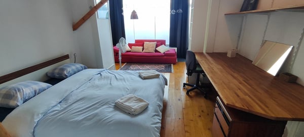 APPART DARTISTE MEUBLE PROCHE CENTREVILLE/LAC PARC Z. BLEU 3