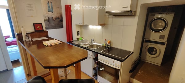 APPART DARTISTE MEUBLE PROCHE CENTREVILLE/LAC PARC Z. BLEU 10