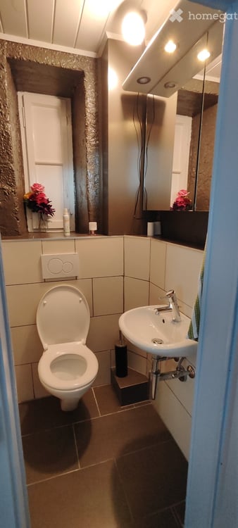 APPART DARTISTE MEUBLE PROCHE CENTREVILLE/LAC PARC Z. BLEU 13