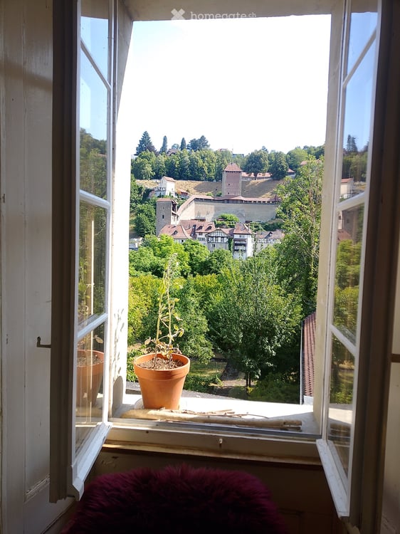 Grand 2 pièces en basse-ville Fribourg 5