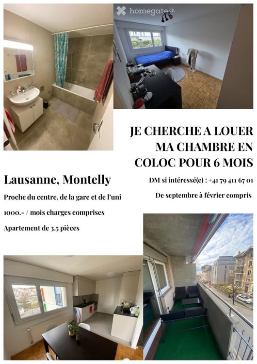 Colocation à Lausanne 1