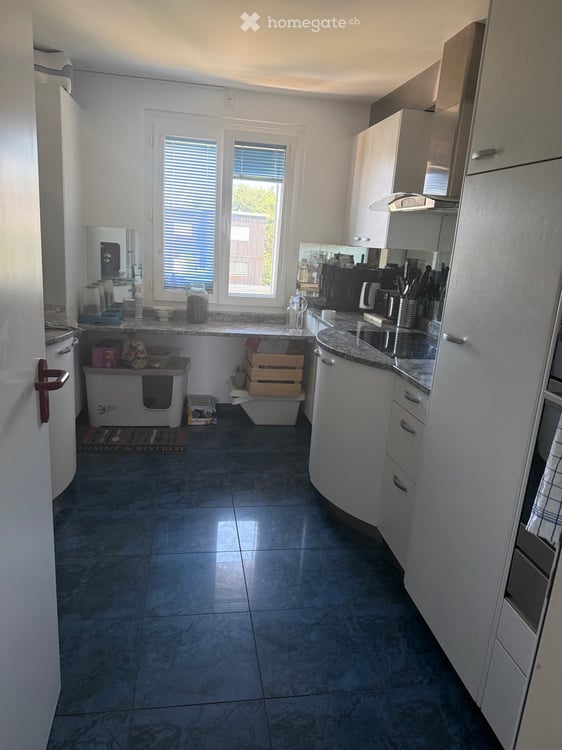Bel appartement.de 4,5 pièces à louer dudingen 4
