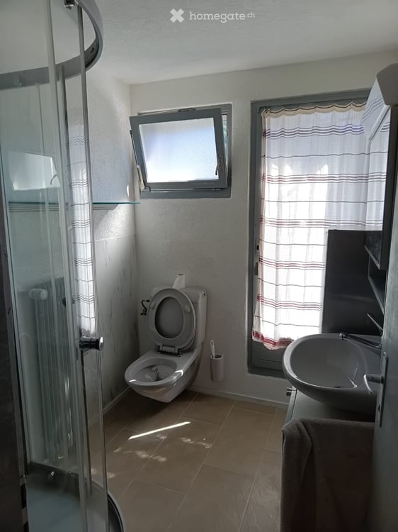 Schöne Dachwohnung zu vermieten 4