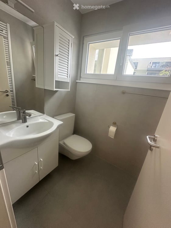 Appartement 5.5 pièces entièrement rénové à louer 4