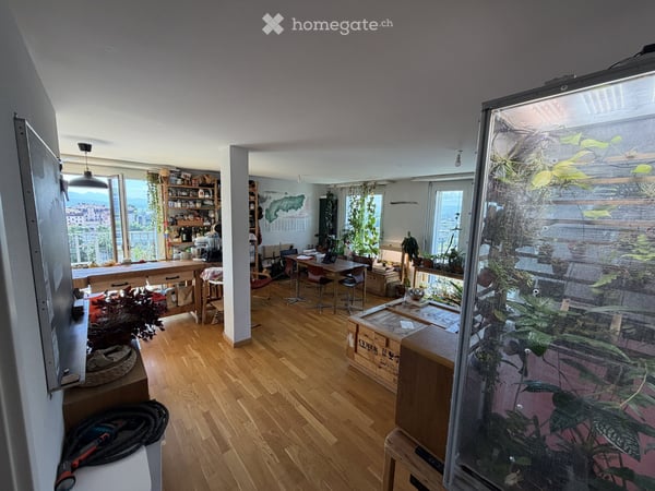 Looking for a flatmate for our family home in Sévelin 2