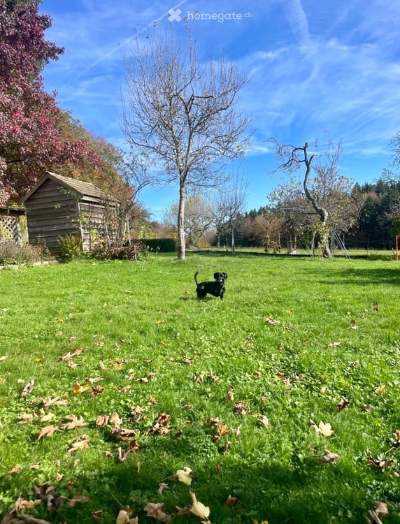 Spacieuse villa de 4.5 pièces avec un grand jardin 2