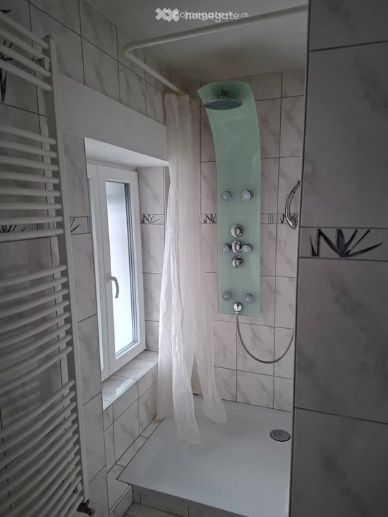 Magnifique 2,5 pièces + mezzanine 25m2 + terasse de 60m2 5